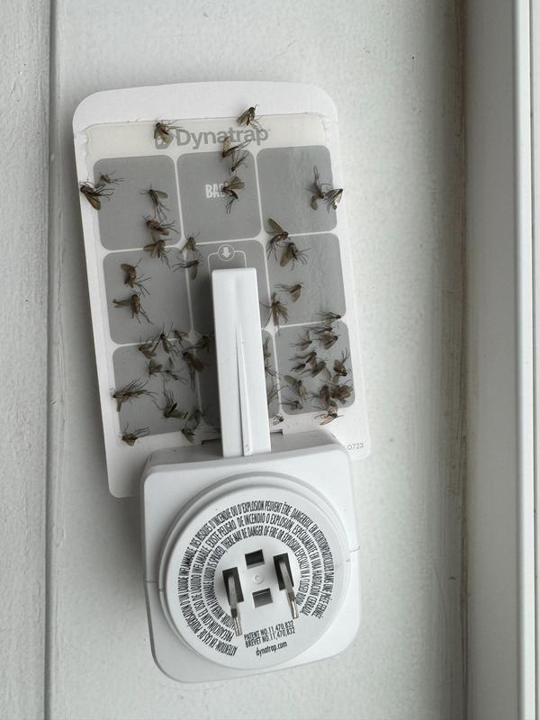 23 hrs in the kitchen