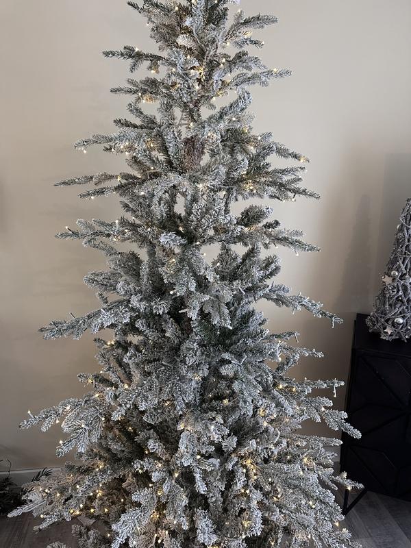 Photo - commentaire&nbsp;7.