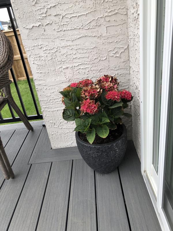 Photo - commentaire&nbsp;1.