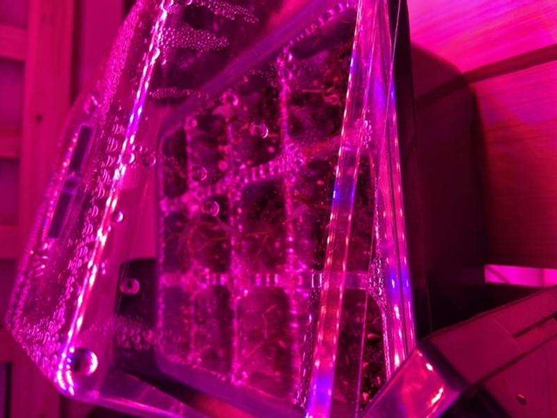 Photo - commentaire&nbsp;4.