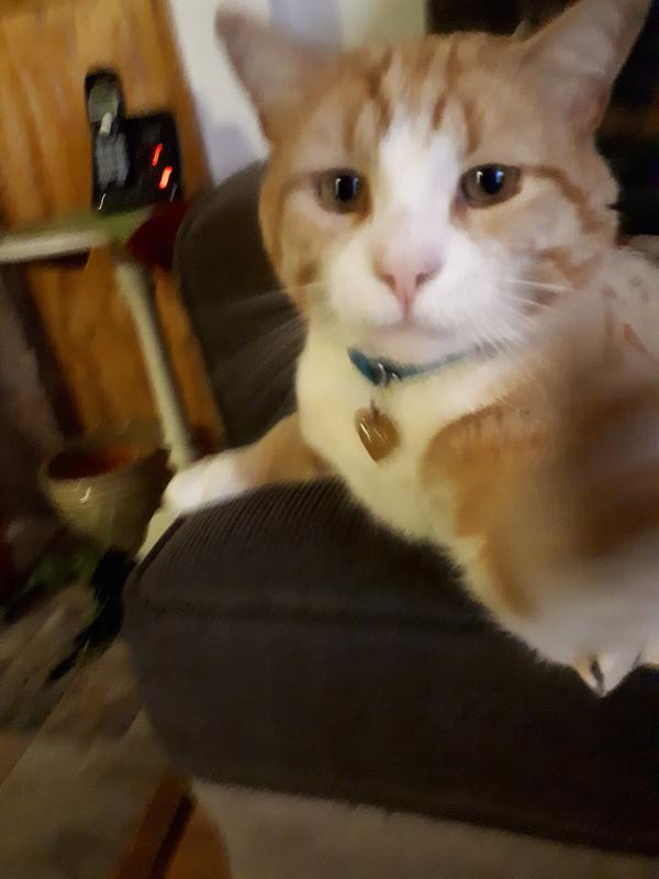 Photo - commentaire 1.