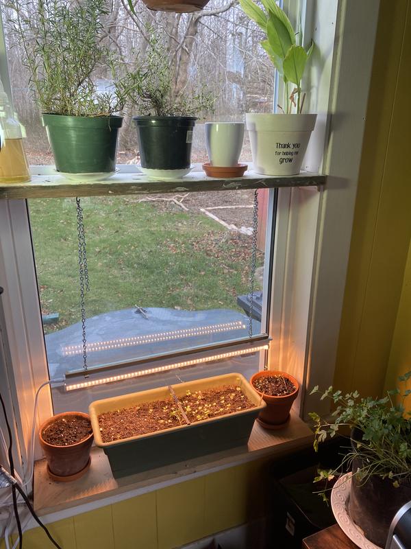 Photo - commentaire&nbsp;1.