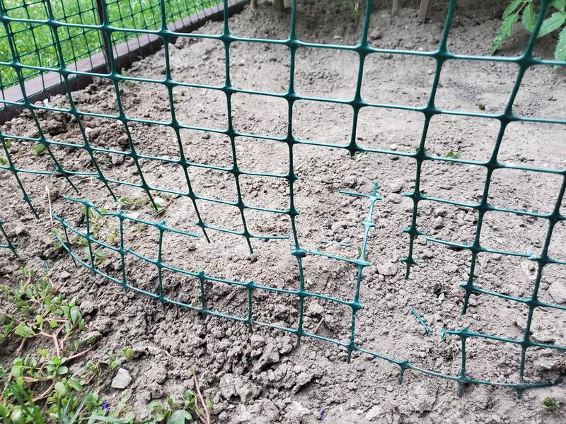 Photo - commentaire 3.