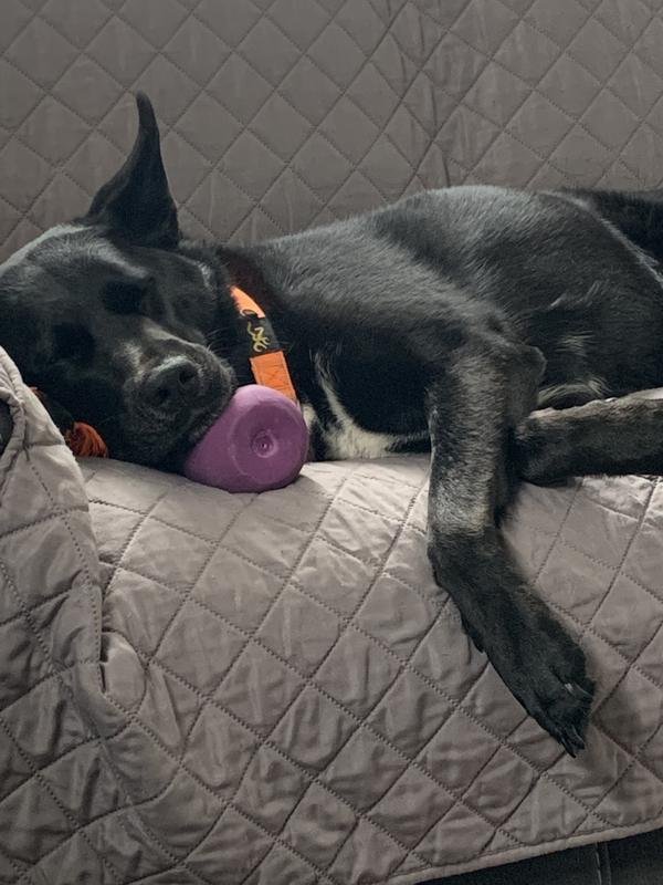 Photo - commentaire 3.