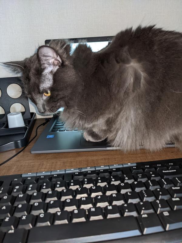 Photo - commentaire 1.