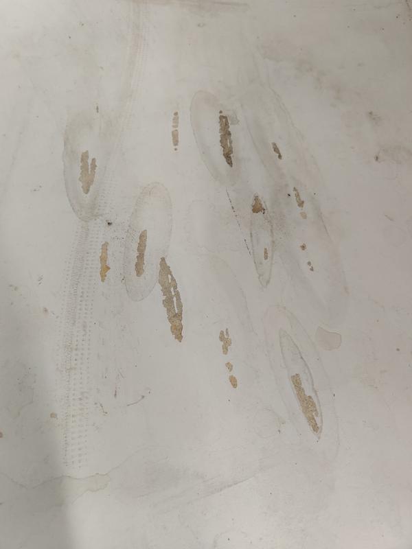 Missing epoxy where bike tire rested on the surface