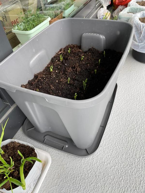 Photo - commentaire&nbsp;1.