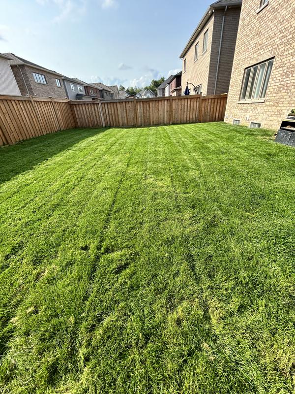 Photo - commentaire 5.