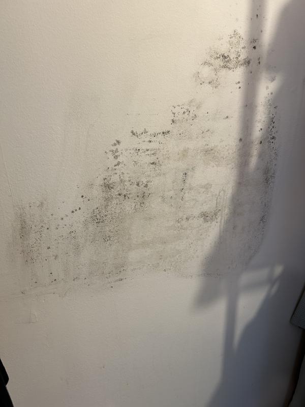 After 3 overnight applications