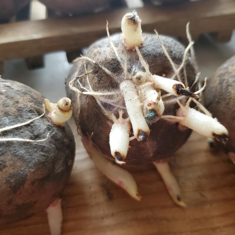 Photo - commentaire 2.