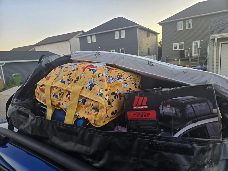 Luggage loaded in cargo bag