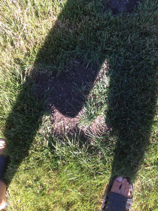 Photo - commentaire&nbsp;8.