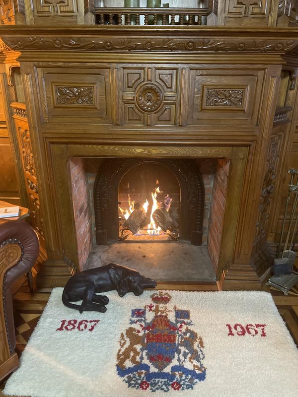 Photo - commentaire 8.