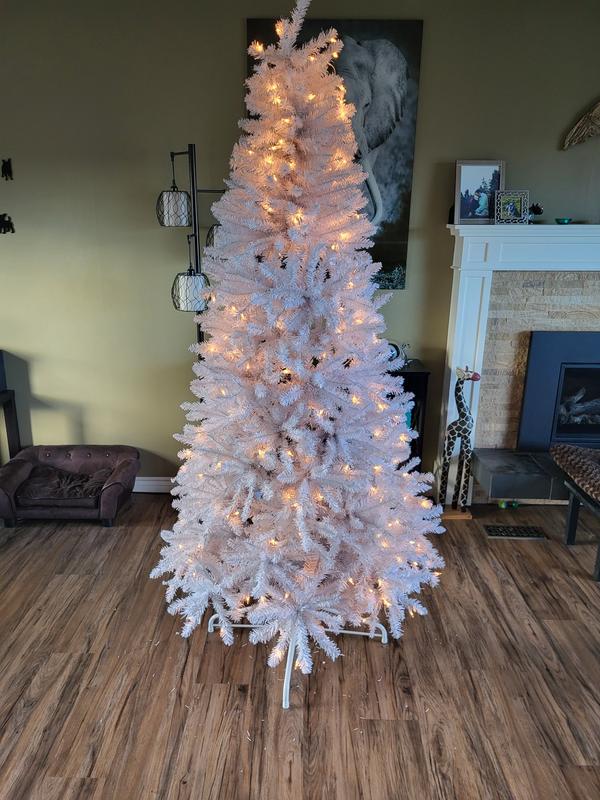 Before I fixed the lights (undecorated)