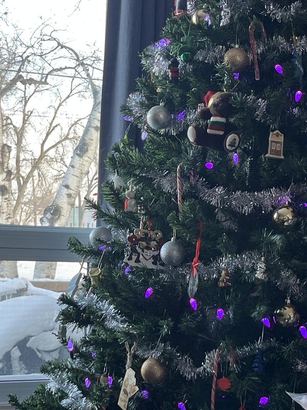 Purple don’t like on a tree