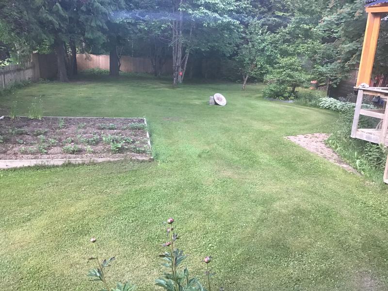 Photo - commentaire 2.