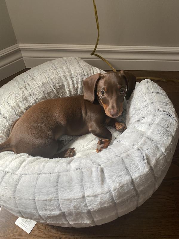 Photo - commentaire 2.