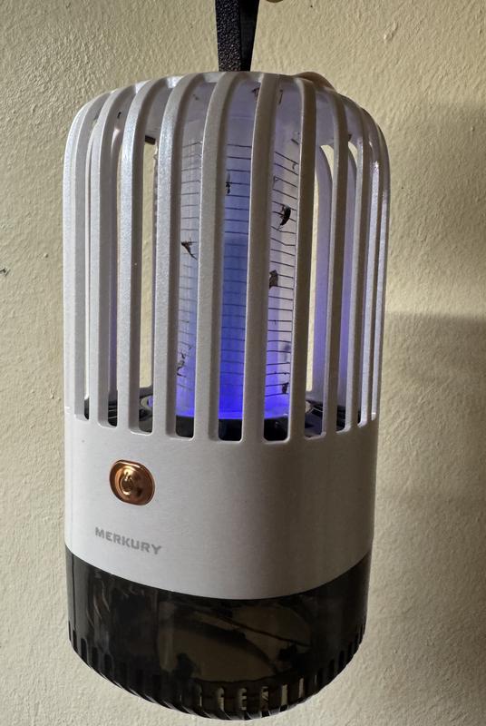 Photo - commentaire 3.