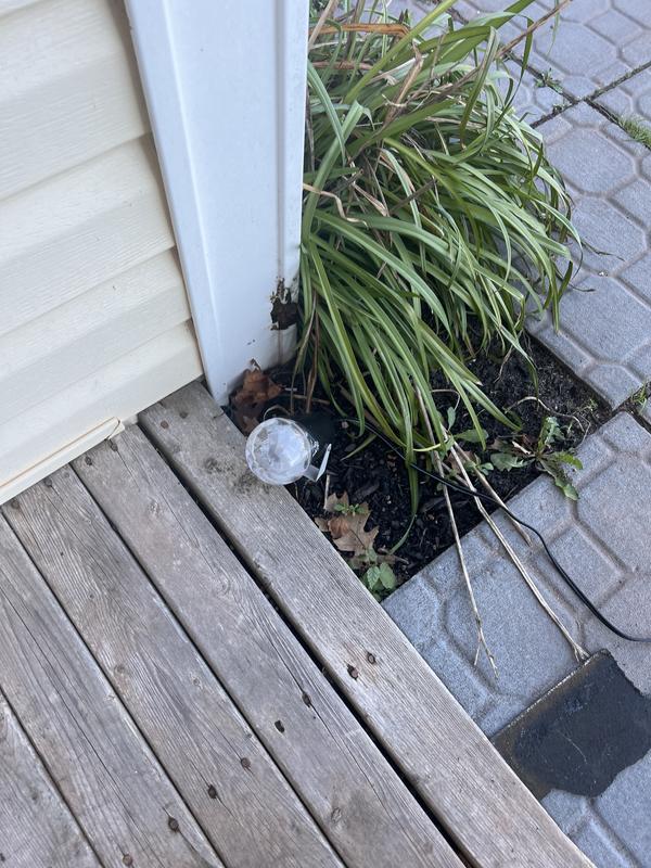 Photo - commentaire&nbsp;7.