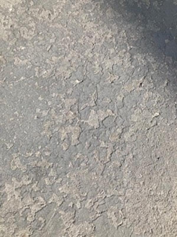 Photo - commentaire&nbsp;8.