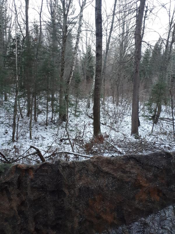 Photo - commentaire&nbsp;1.