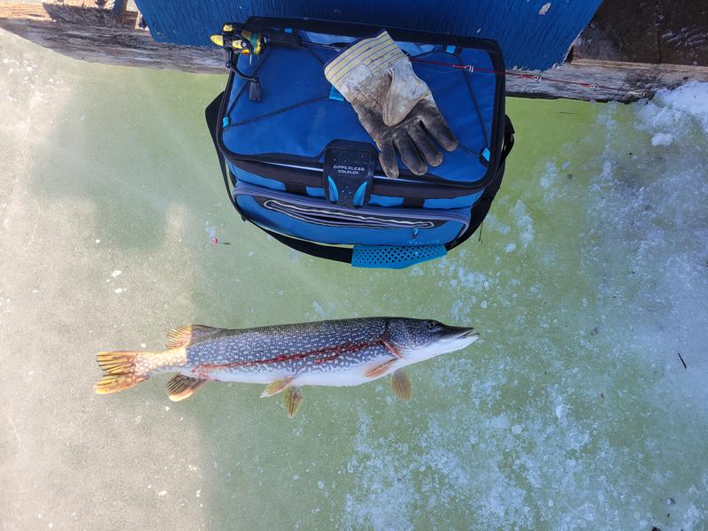 First catch with the new rod