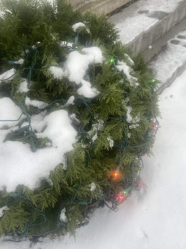 Photo - commentaire 3.