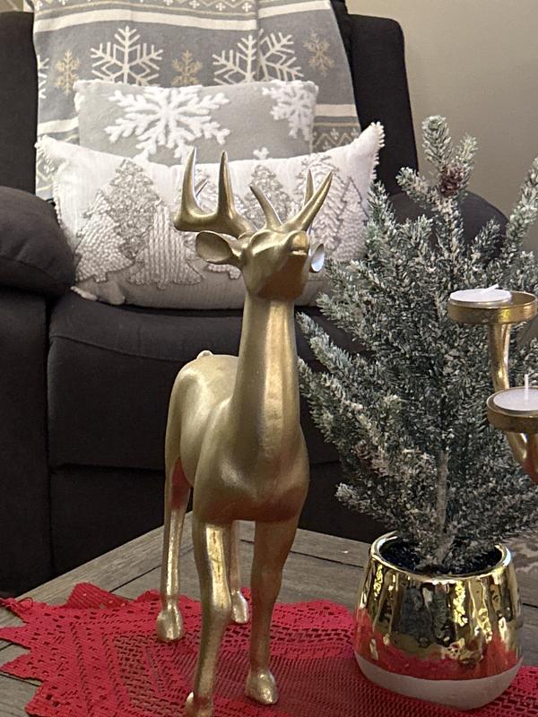 Photo - commentaire&nbsp;1.