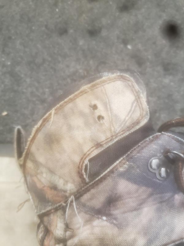 Photo - commentaire 1.