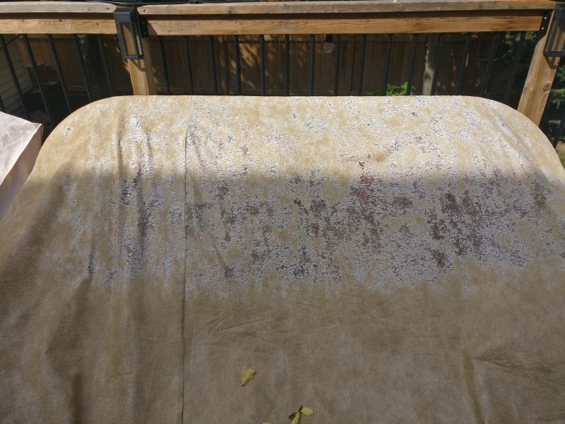 Close up of the disentigration ... looked like this within 3 months of use