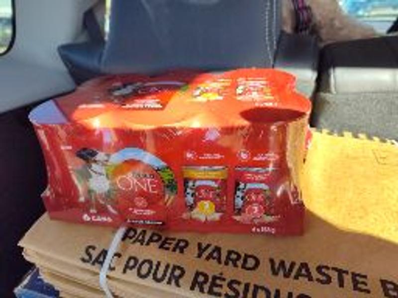 Photo - commentaire&nbsp;8.