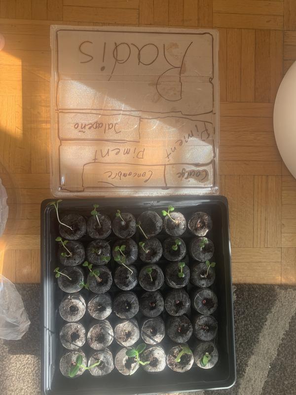 Photo - commentaire&nbsp;4.