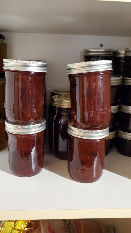 Photo - commentaire 2.