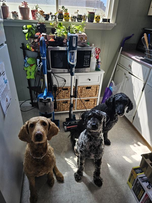 Photo - commentaire 1.