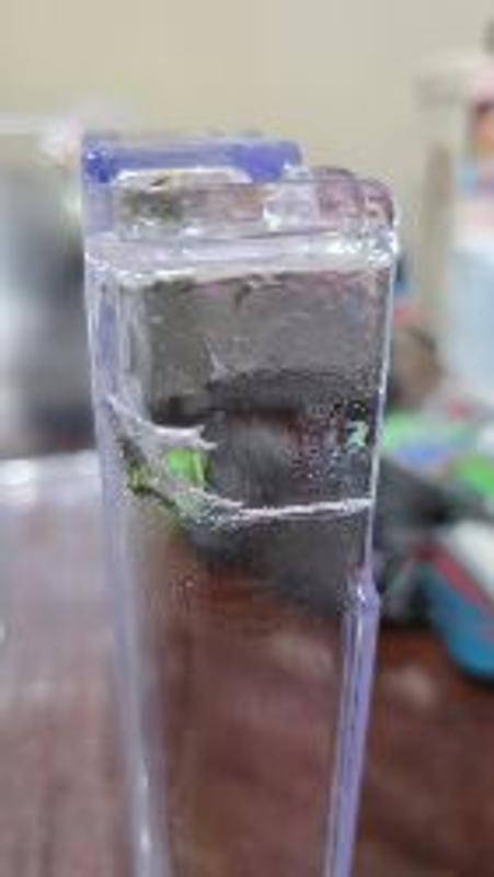 Review photo 1.