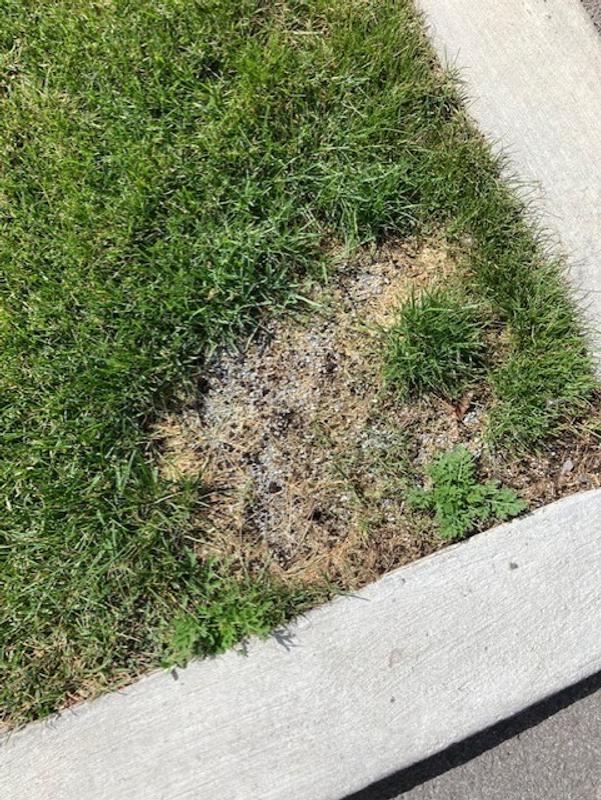 Photo - commentaire 5.