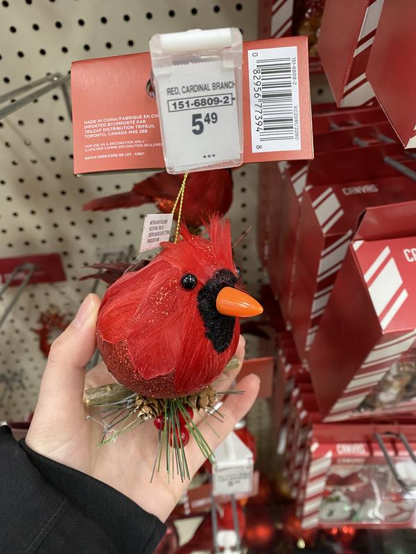 Photo - commentaire 3.