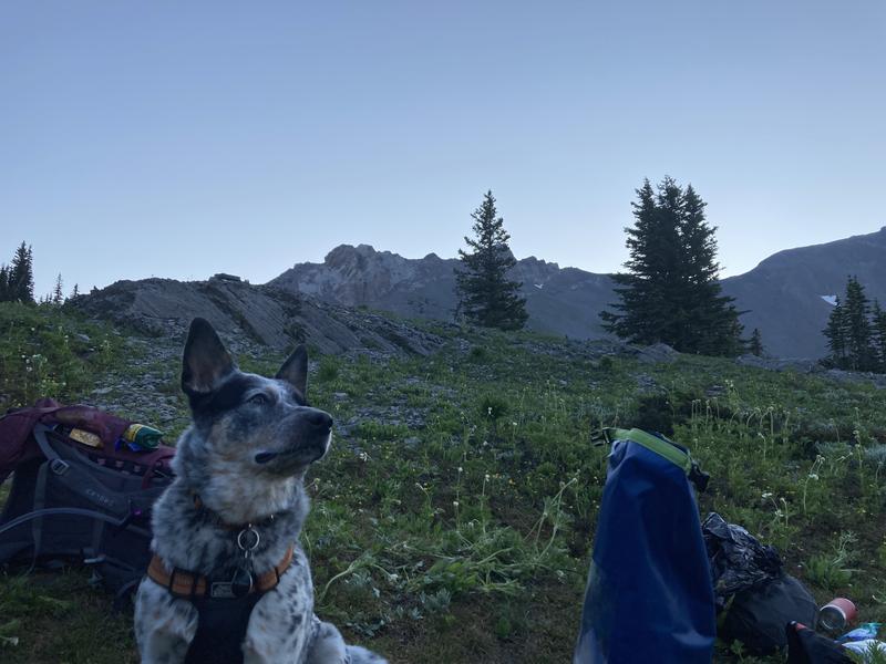 Photo - commentaire&nbsp;1.