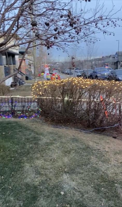 Photo - commentaire 4.