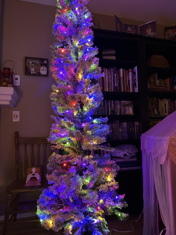 Photo - commentaire 1.