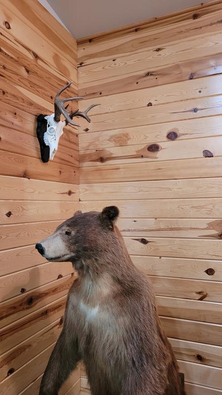 The sanding drum worked quite will to also dimple the edges as I like to do.
