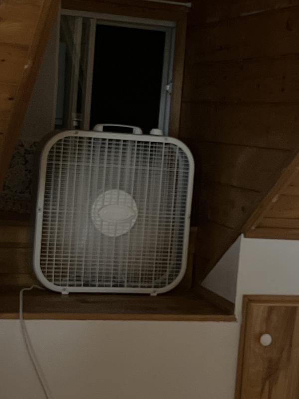 Photo - commentaire 2.