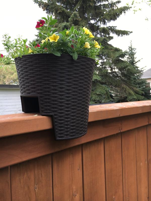 Adding colour to my fence