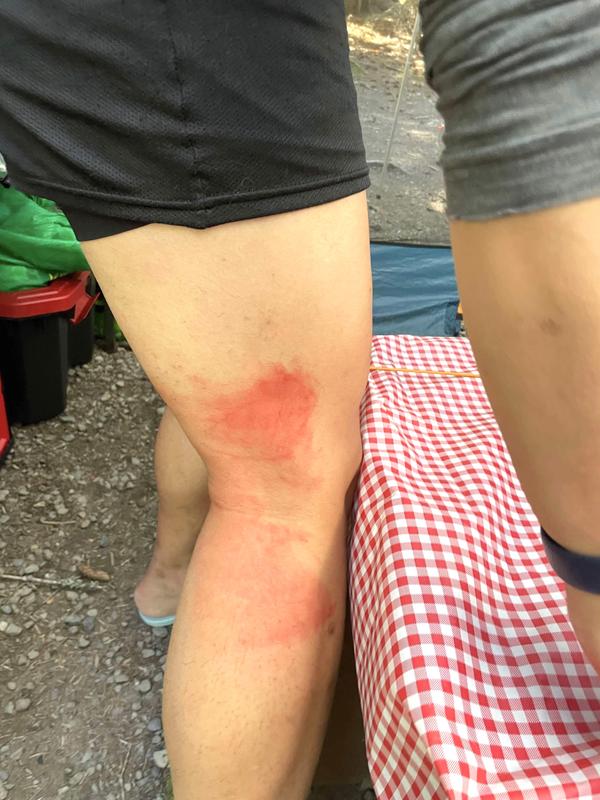 Photo - commentaire 2.