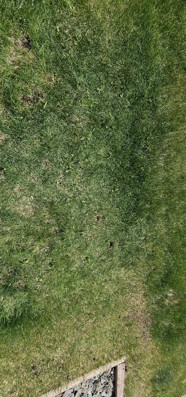 Photo - commentaire 5.