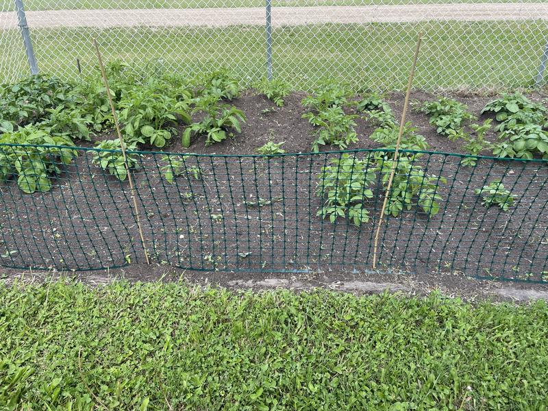 Photo - commentaire 4.