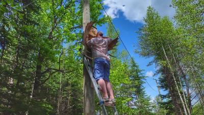 Photo - commentaire 5.