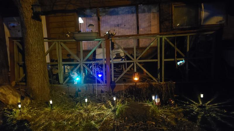 The humming bird is thebright greenish-blue one on the left