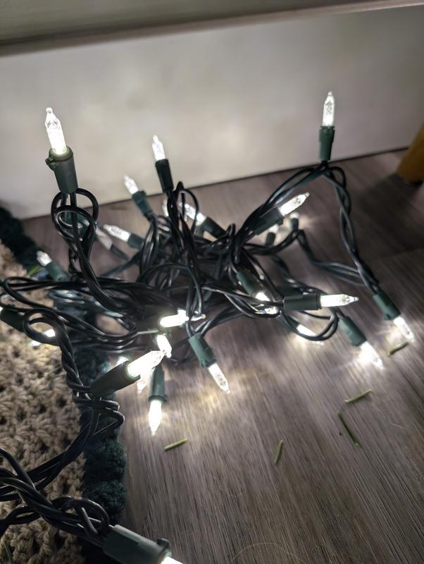 Photo - commentaire 6.