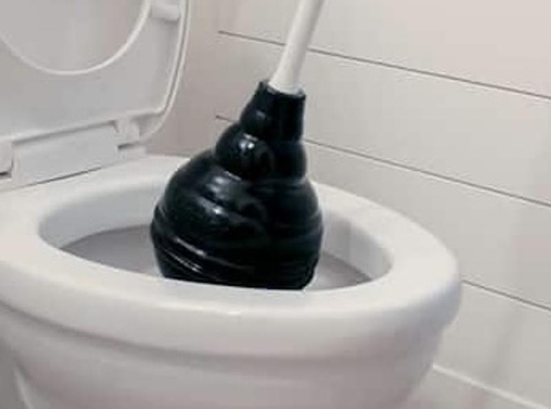 The poo is in the photo. Look hard